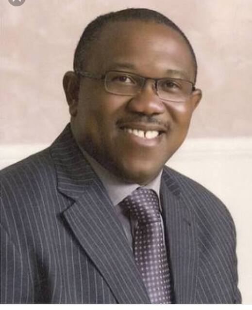 Peter Obi Business Career