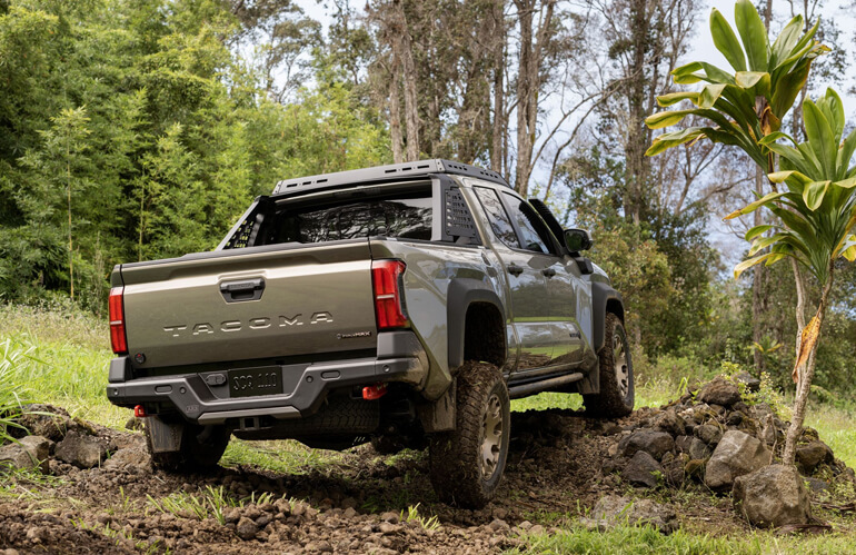 2024 Toyota Tacoma backview