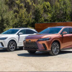 2023 Lexus RX Vs 2024 Lexus RX