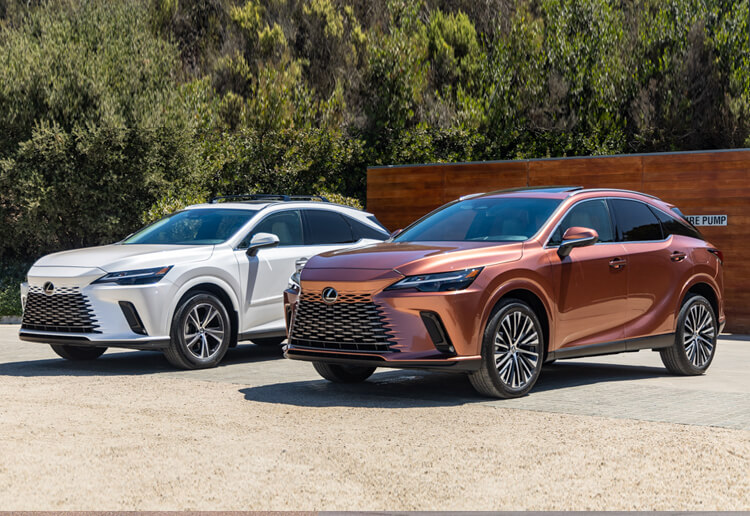 2023 Lexus RX Vs 2024 Lexus RX