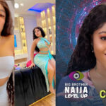 Chichi Bbnaija Biography, Net worth, Cars, Social Media