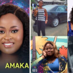 Amaka BBNaija Biography, Net Worth, Cars, Social Media