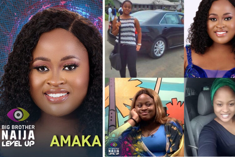 Amaka BBNaija Biography, Net Worth, Cars, Social Media