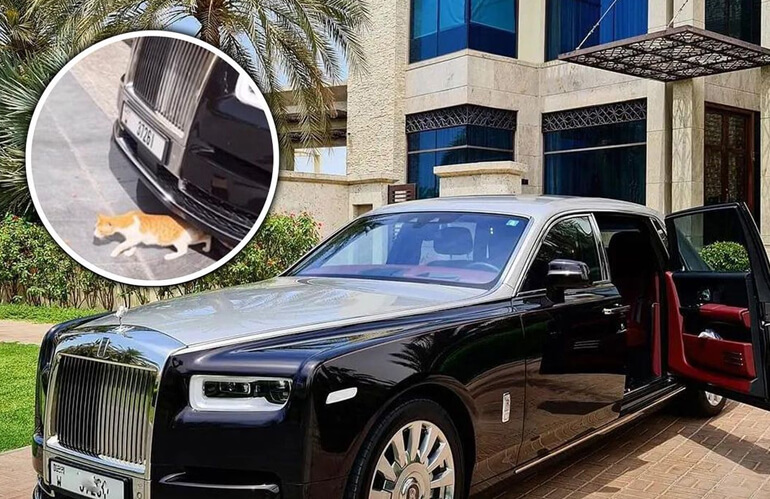 A Viral Video Of A Man From Dubai Rescue Cat Stuck In His Rolls Royce Phantom