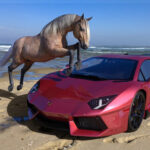 Best Tips to Buy Cars with Horse Racing Betting in Nigeria