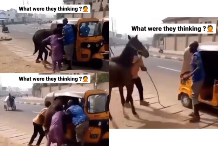 The Moment A Horse Was Spotted Entering A Keke Napep