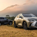 2022 Lexus NX350h