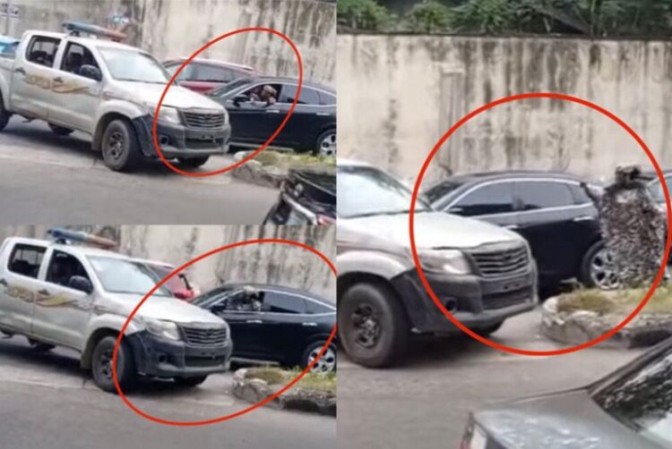 An image of a woman stopping the Nigerian police from taking a one-way drive.