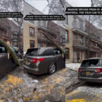 The Moment A Tree Destroyed A Honda Minivan Well Parked