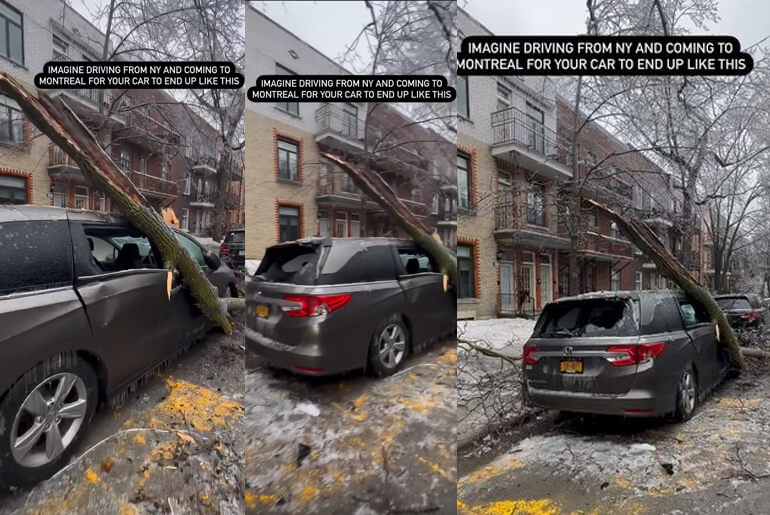 The Moment A Tree Destroyed A Honda Minivan Well Parked