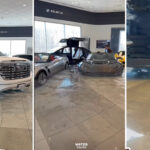 The Moment Water Flooded An Entire Showroom Full Of Luxury Cars worth Over $1 Billion