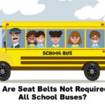 Why Are Seat Belts Not Required On All School Buses