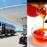 Air Peace, Max Air, and Other Flight Companies Suggest Palm Oil for Aviation Fuel 