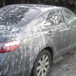 This Is Exactly How Bird Poop Can Damage Your Car Paint in Just 1 Day