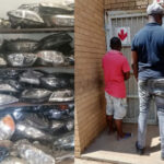 Nigerian Men Arrested In South Africa For The Stealing Of Car Parts