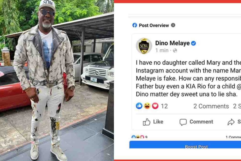 I have no daughter called Mary - Dino Melaye deny buying Lamborghini for her daughter