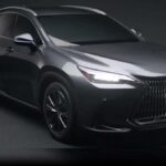 2022 Lexus NX Redesigned, What We Know So Far