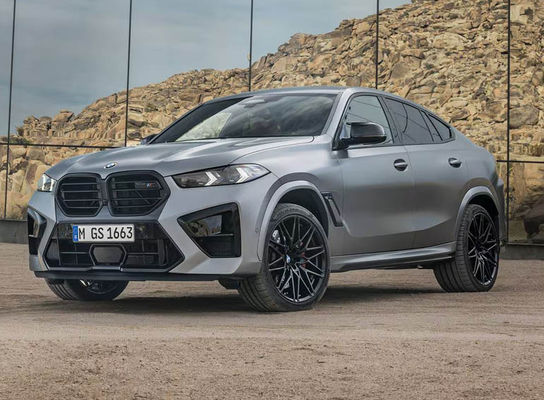 2025 BMW X6